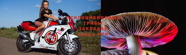 дмт Баксан