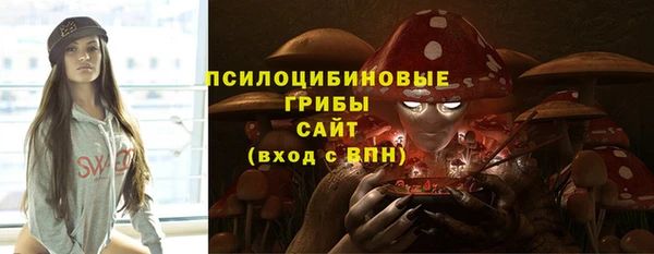 шишки Балабаново