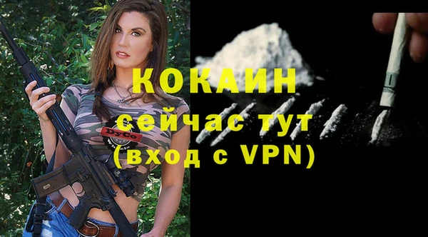 apvp Новодвинск