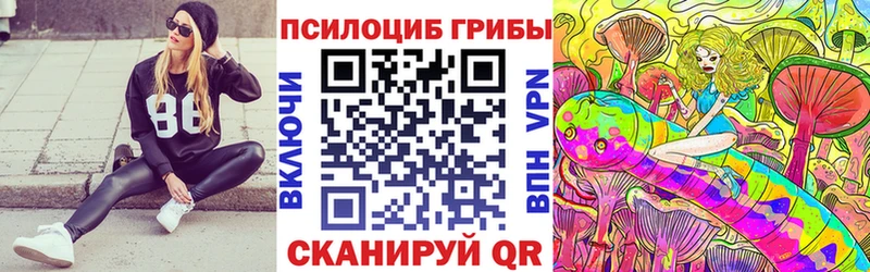 Псилоцибиновые грибы Psilocybe  OMG ссылки  Темрюк 